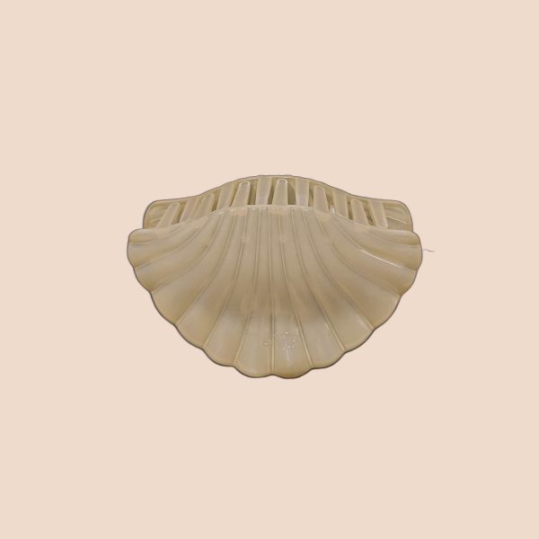 کیلیپس صدفی سایز بزرگ